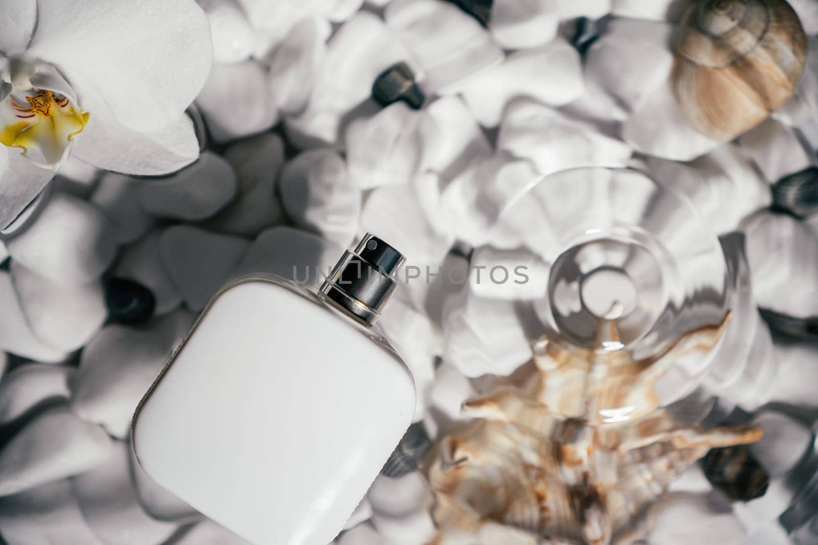White square perfume bottle, vial in transparent fresh water with flecks and waves above bottom of white stones and shell. Skin care protection. Flat lay.