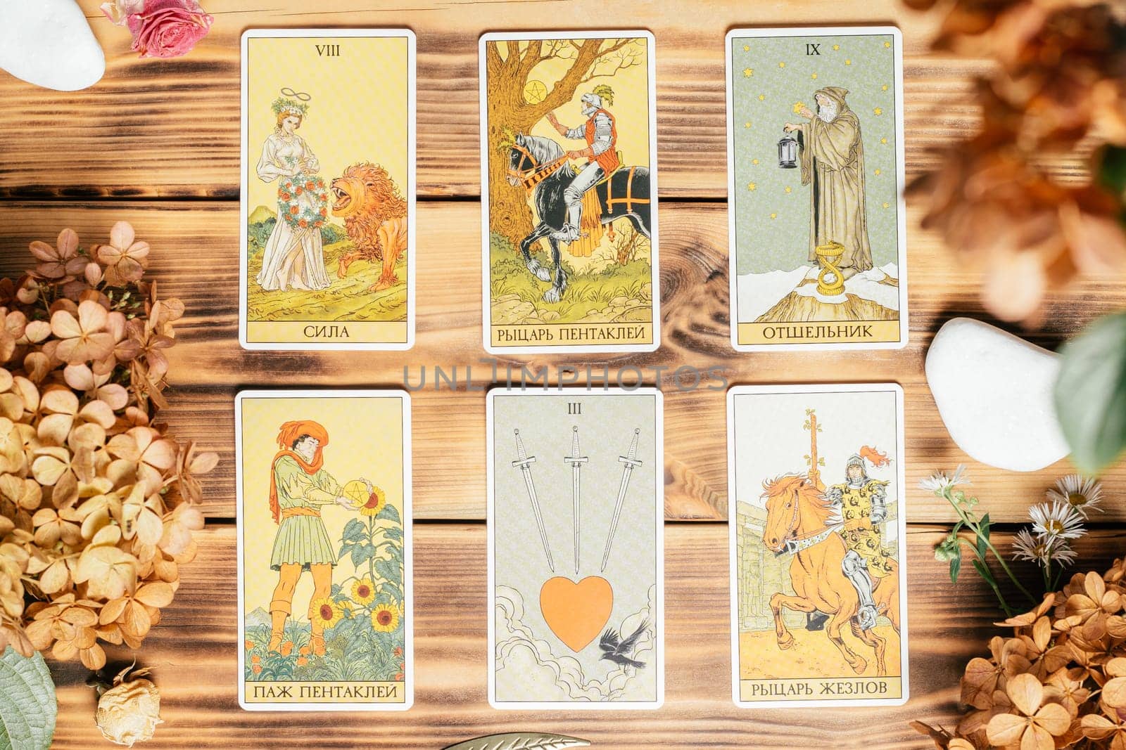 Tarot cards spread face up on wooden surface with stones, autumn plants and accessories. Top view. Minsk, Belarus, 11.10.2021