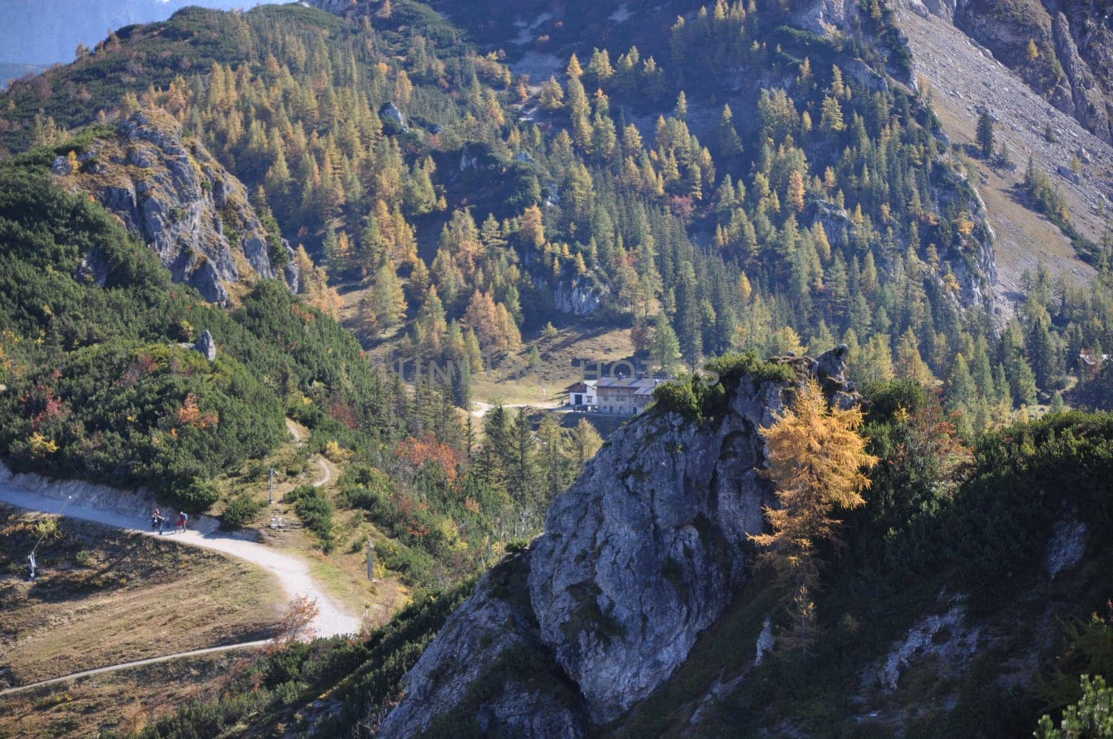 Small mountain pasture in the mountains around Berchtesgaden, near the Jenner mountain, Bavaria