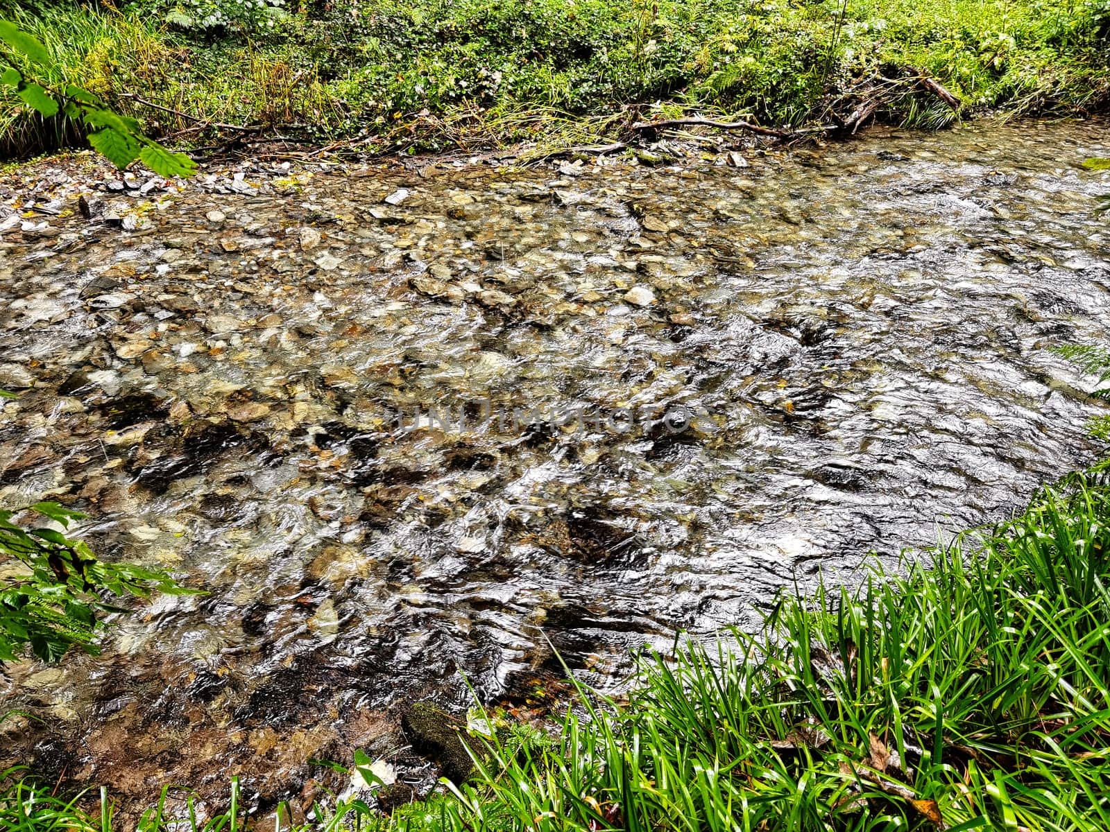 River Lyd in Lydford Gorge, Dartmoor National Park, Devon, United Kingdom