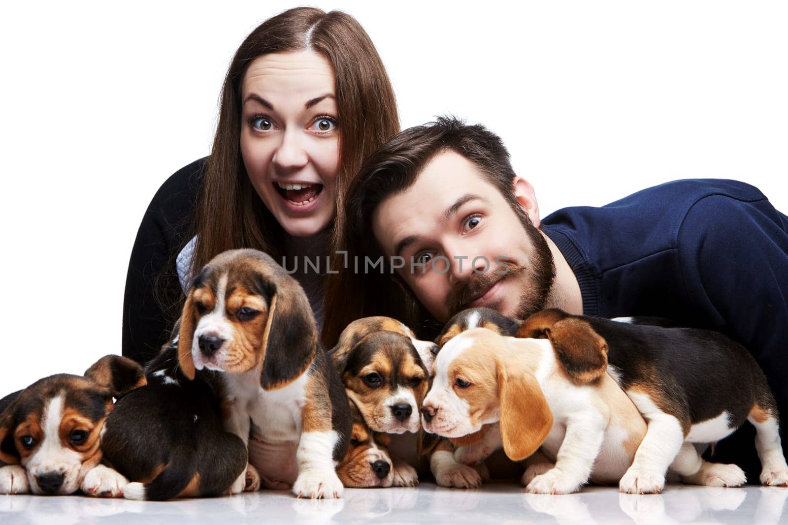 The happy man, woman and big group of a beagle puppies on white background
