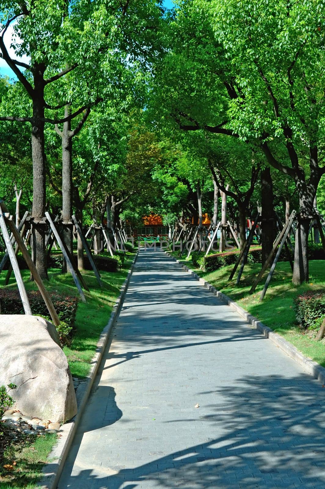 The row of trees along a path way in city park