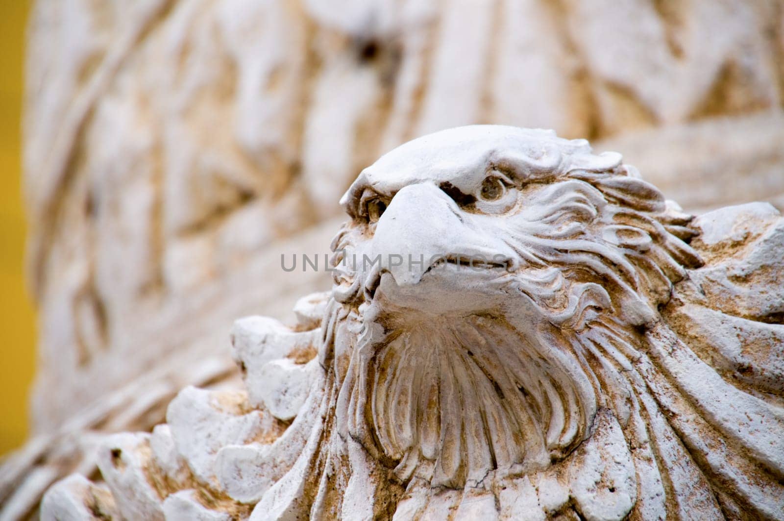 The detail of the eagle staturay head