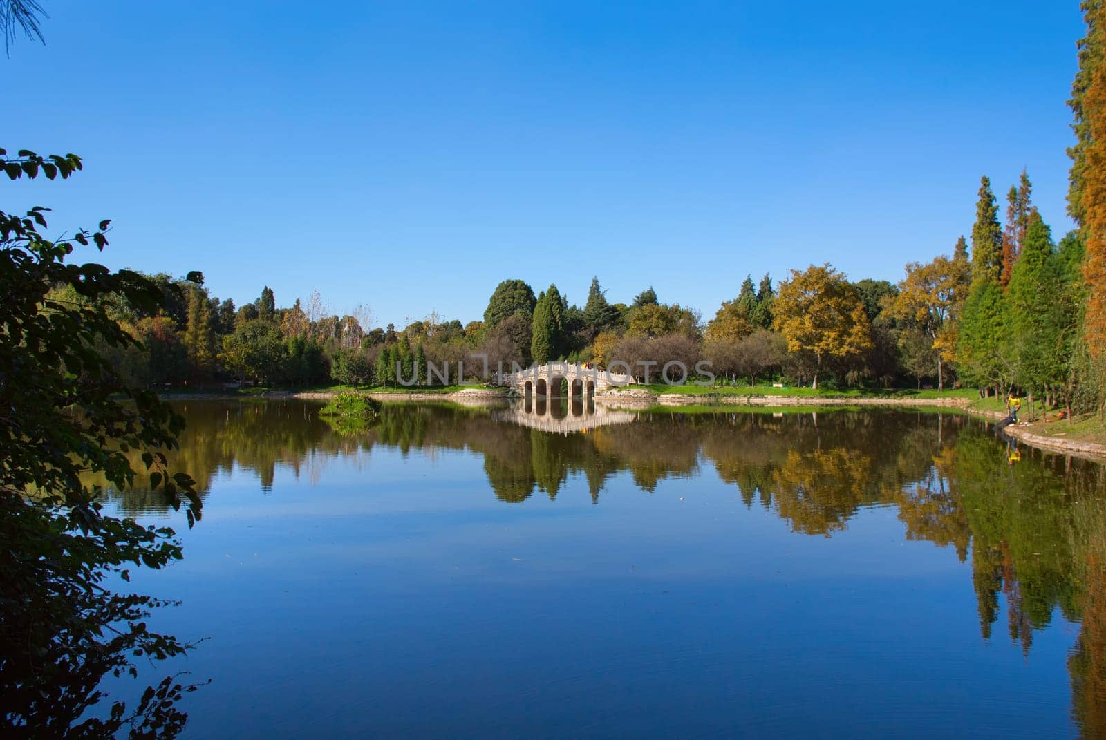 The reflection of forest, and bridge
