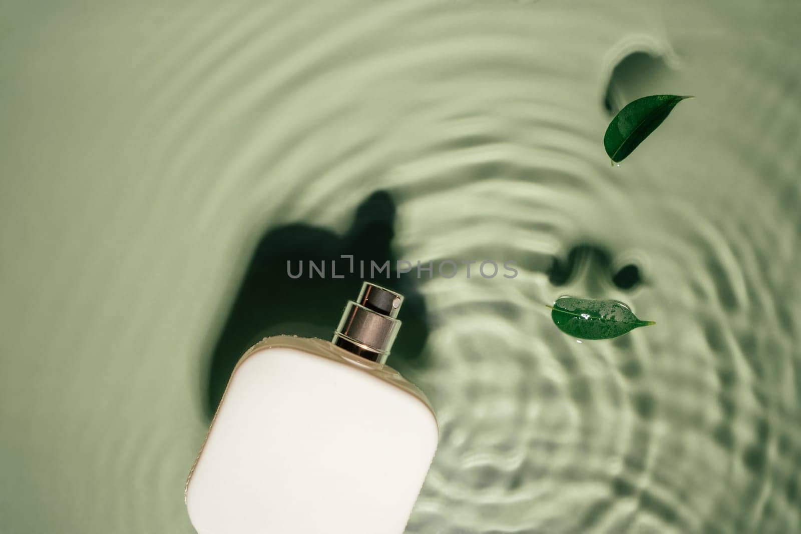 White square perfume bottle on green transparent reflect rippled wave water surface, small leaves of Ficus Benjamin. Fashion dermatology skin care. Copy space. Place for text. Top view