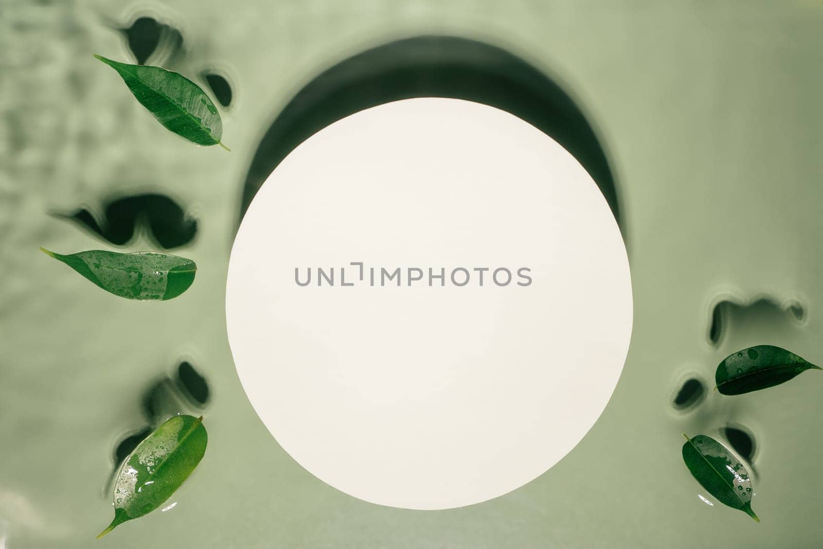 White circle copy space and small ficus leaves on transparent green water drop surface with flecks, waves, shade. Health care relaxation. Vacation coast sea natural concept. Flat lay. Place for text
