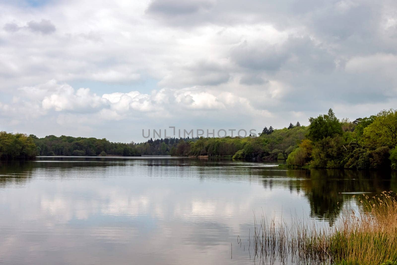 Virginia Water Lake in Windsor Great Park, United Kingdom
