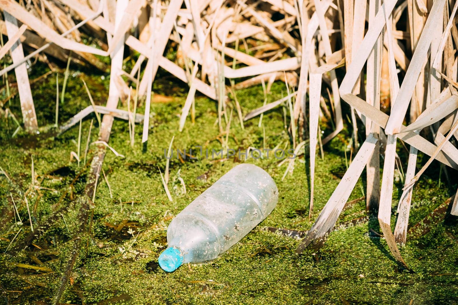 Old Plastic Bottle Floats In Water Of Swamp Or Bog. Used Empty Bottle Left In Water. Eco Concept Garbage Disaster From Ecological Pollution Of Environment. Waste Pollution Problem.