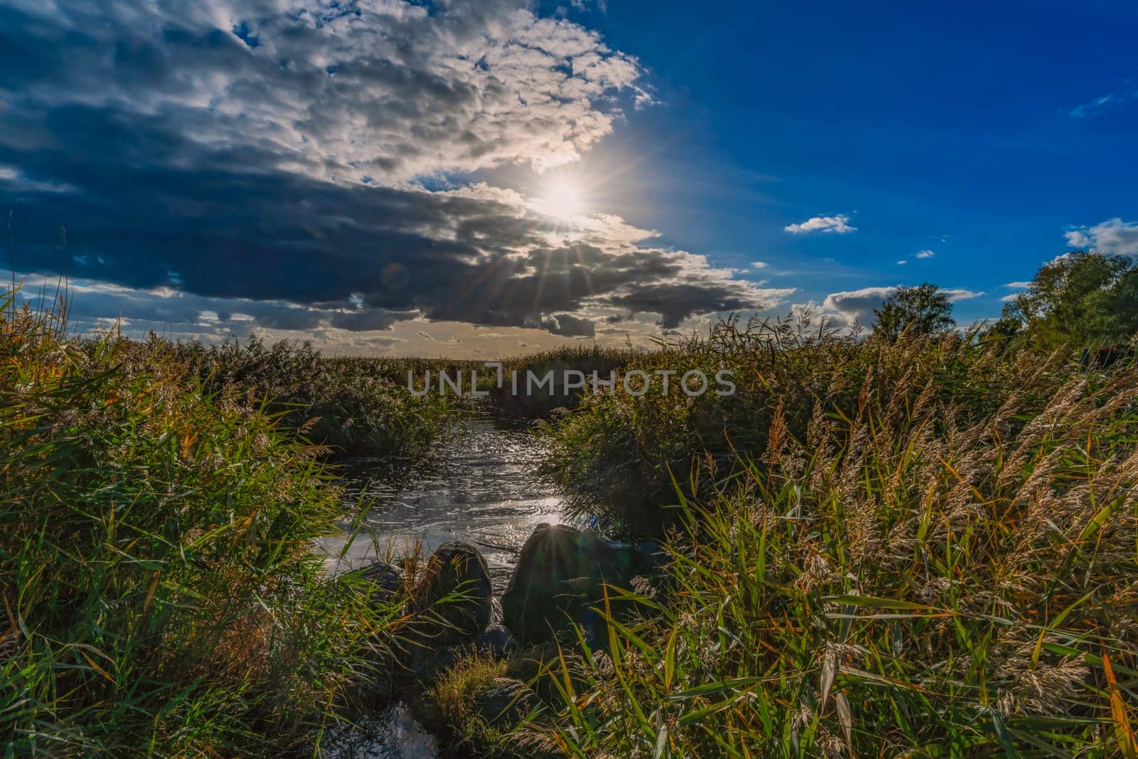 Recreation area island Usedom - untouched nature at the beautiful Achterwasser near Zempin in autumn