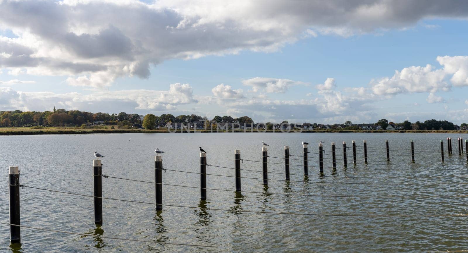 Landscape panorama - view from the marina in Zempin across the Achterwasser towards the holiday home Zinnowitz on Usedom