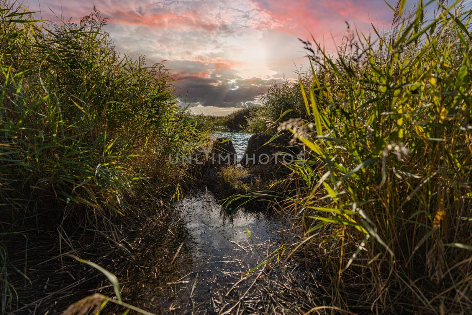 Recreation area island Usedom - untouched nature at the beautiful Achterwasser near Zempin in autumn