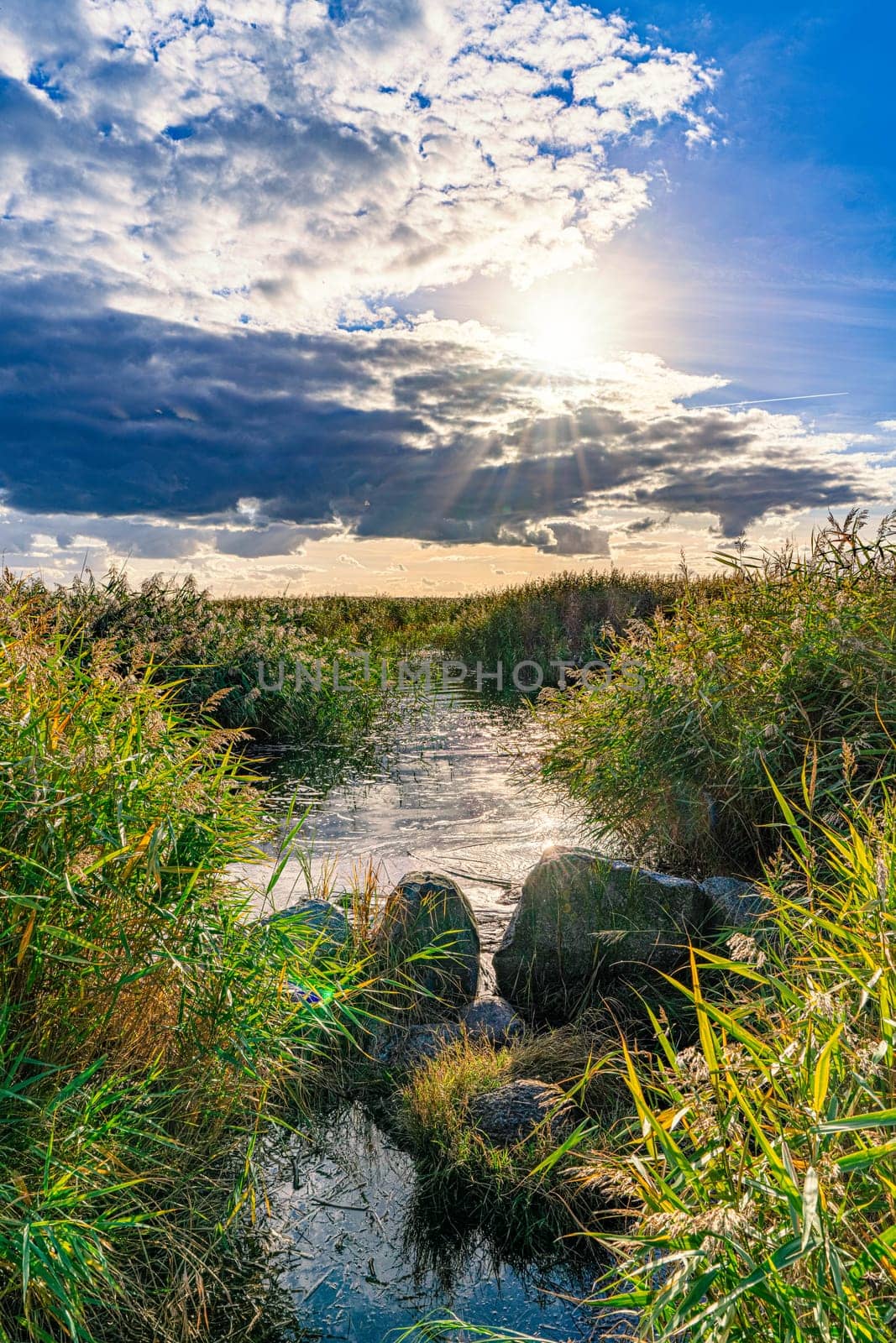 Recreation area island Usedom - untouched nature at the beautiful Achterwasser near Zempin in autumn