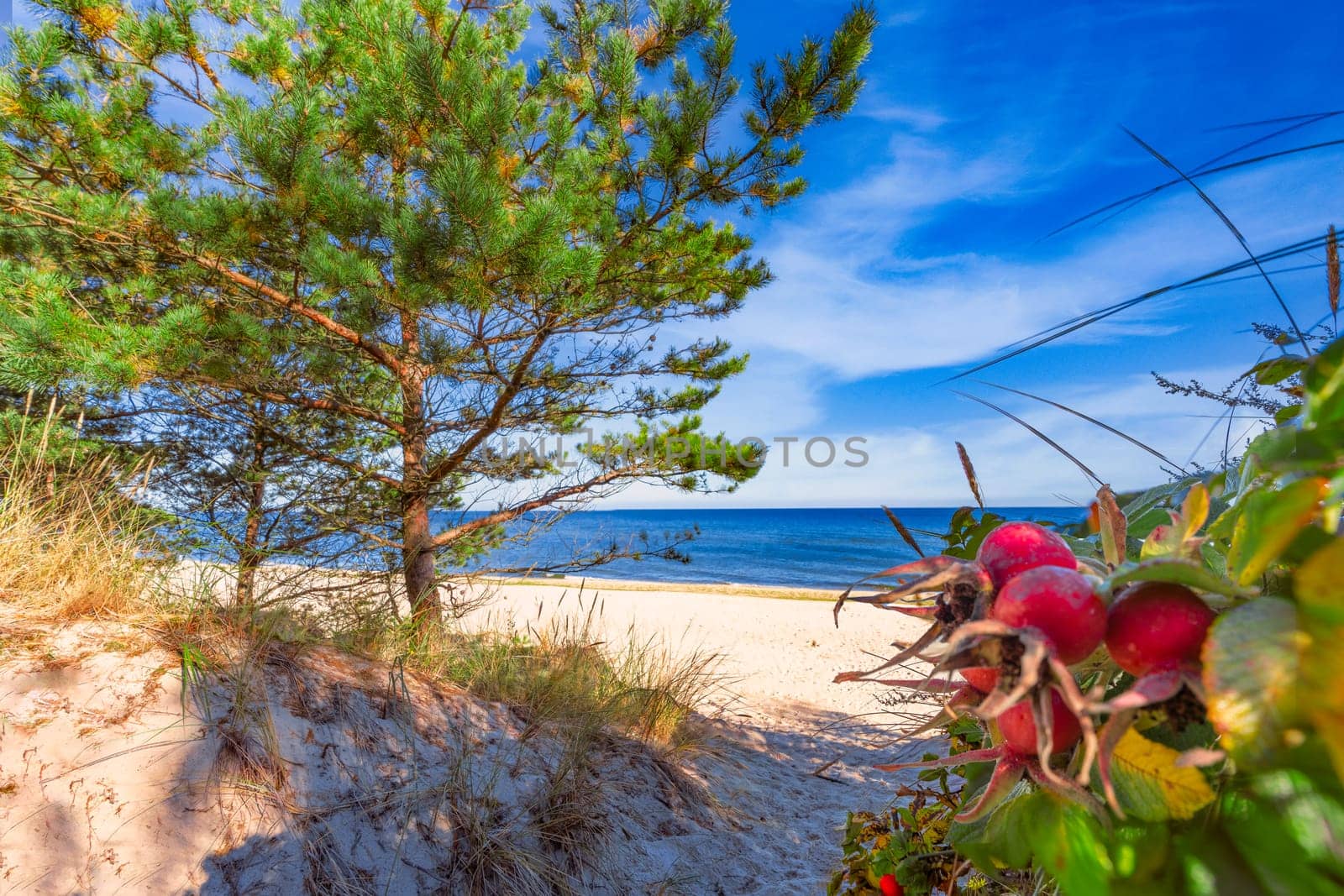 dreamlike, empty baltic sea beach on the island Usedom near Zinnowitz with blue sky