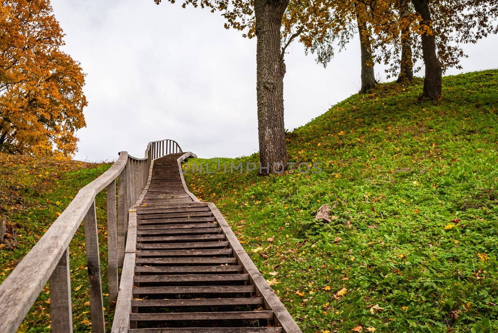 Steep wooden stairs to a hill near dubingiai, Lithuania.