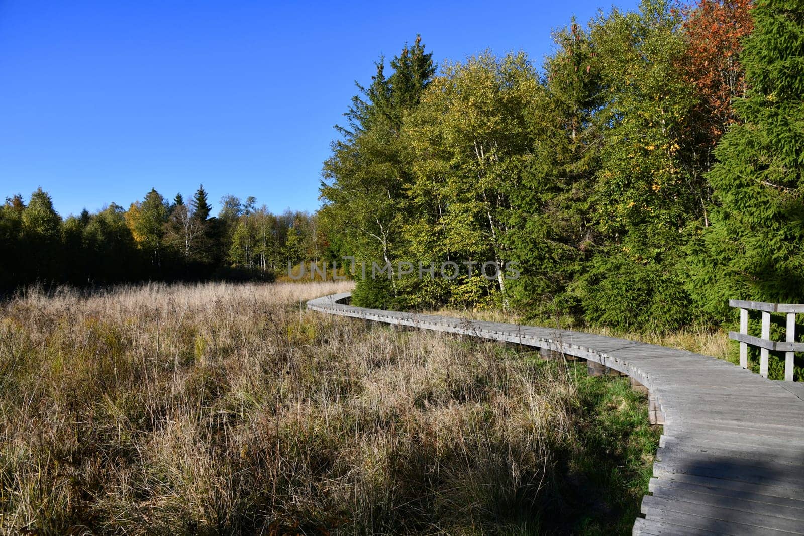 The Black Moor in the Bavarian Rhön