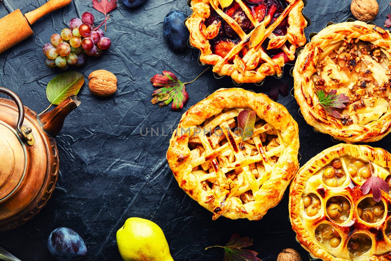 Appetizing seasonal autumnal pies with apples, plums and grapes.