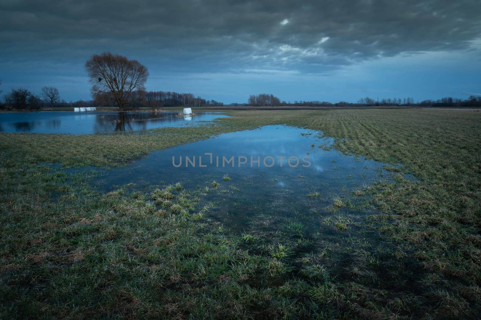 Meadow with spring puddles on a cloudy evening, Nowiny, Lubelskie, Poland