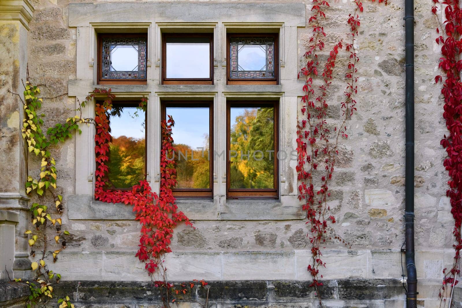 Castle window with red wine