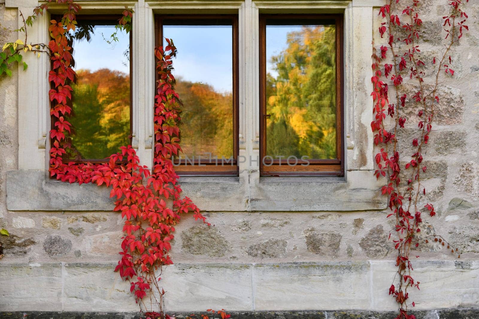 Castle window with red wine