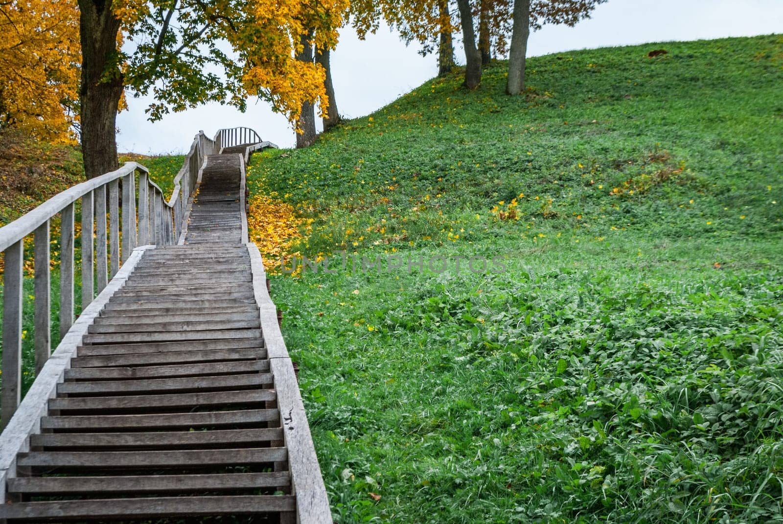 Steps of a high wooden staircase leading to Dubingiai Hill, Lithuania.