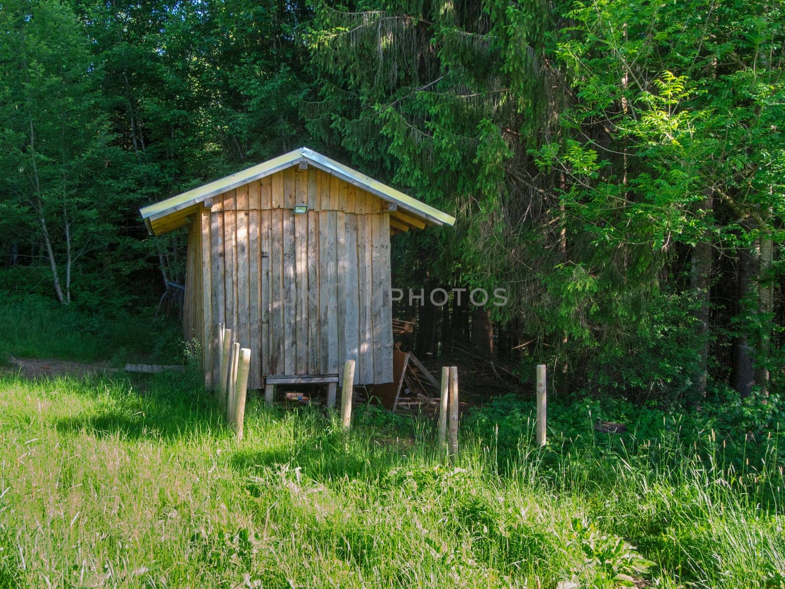View of a single forest worker's wooden hut in the forest with a meadow in front of it.