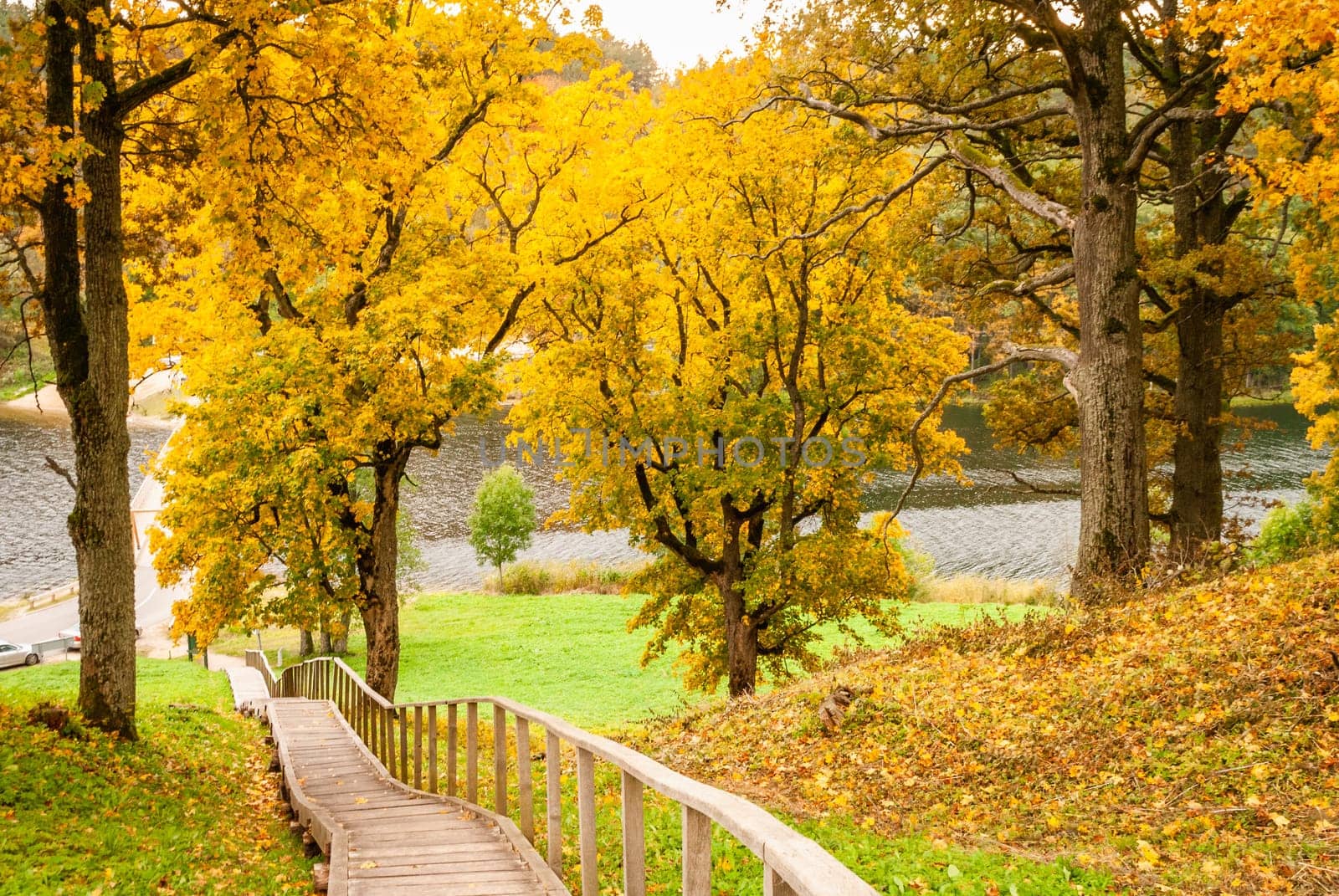 Wooden staircase from a hill near Dubingiai, Lithuania, to Lake Asveja in autumn. Beautiful autumn landscape.