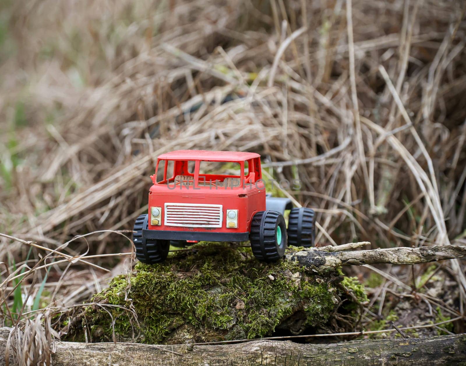 An old red toy car of a child stands in a garden.