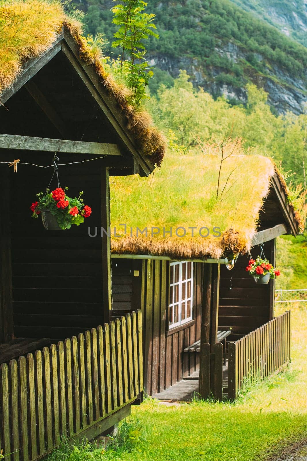 Traditional Norwegian Old Wooden Houses With Growing Grass On Roof. Cabins In Norway.