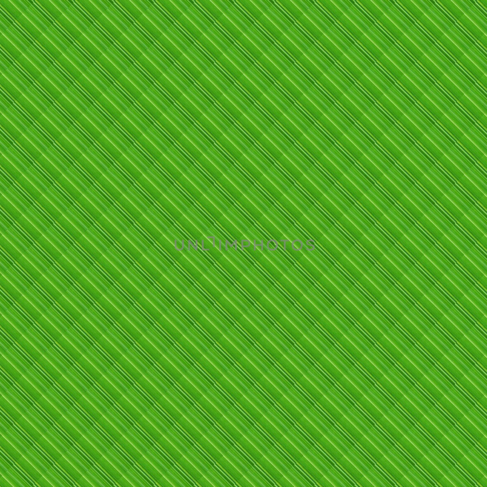 very beautiful pattern seamless green background