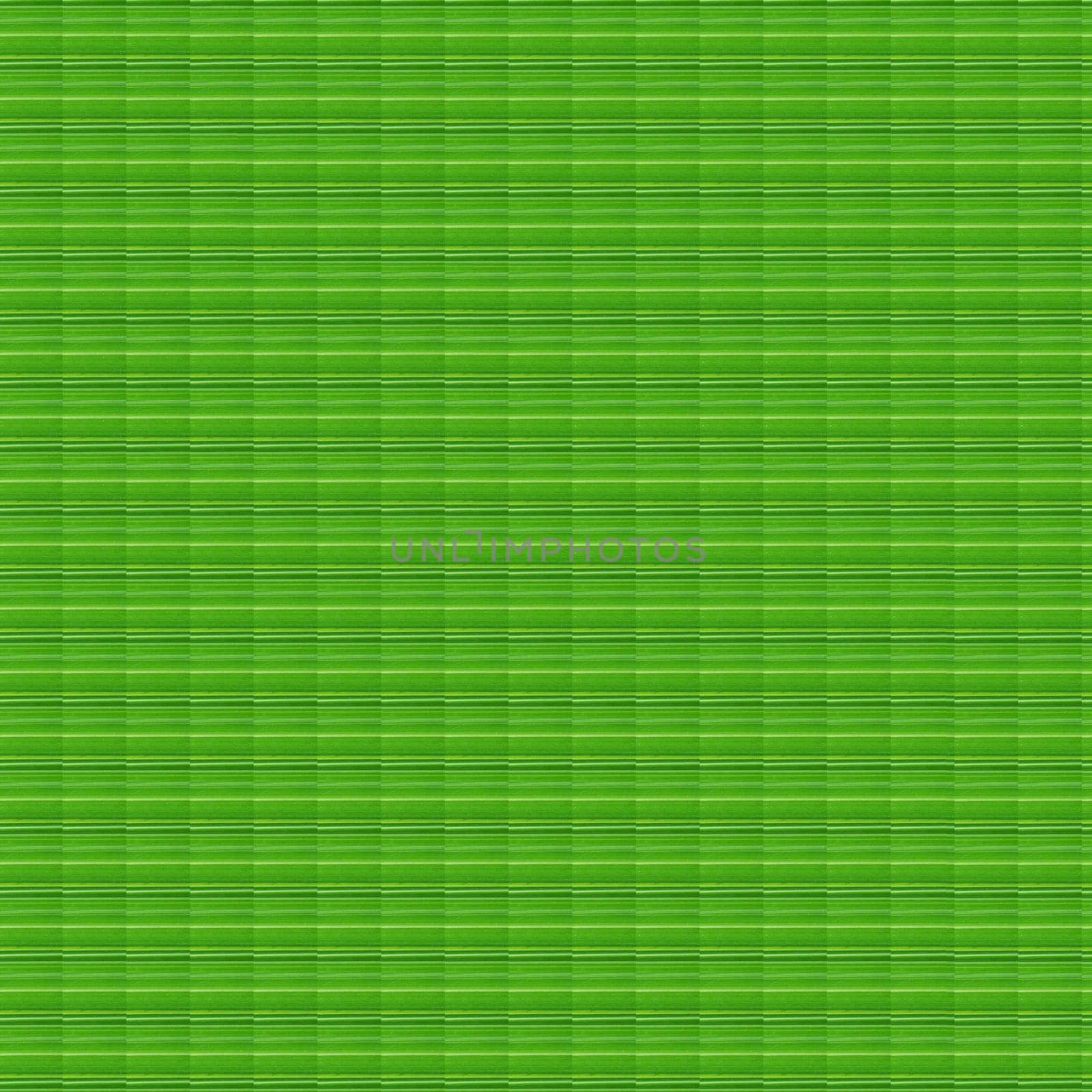very beautiful pattern seamless green background