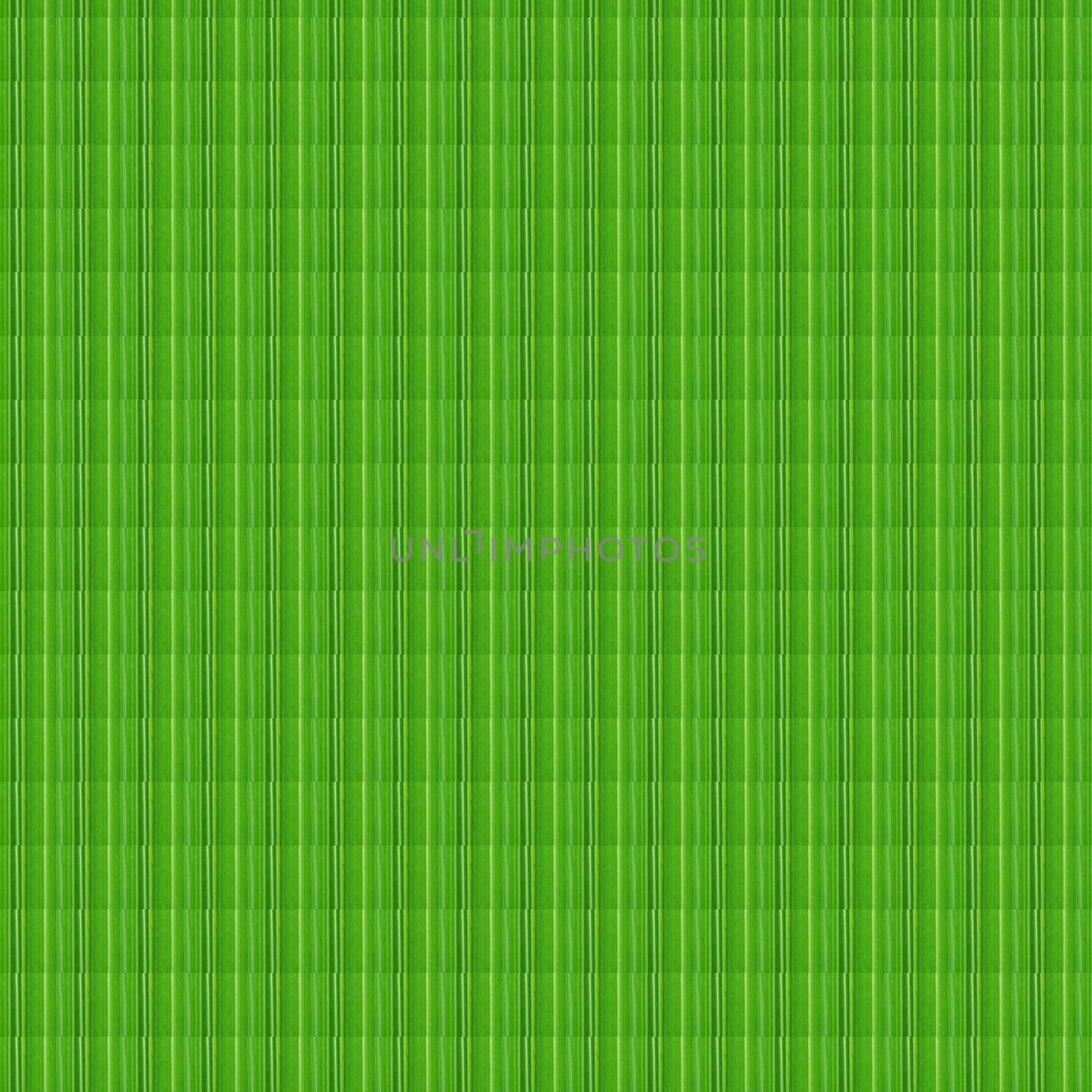 very beautiful pattern seamless green background