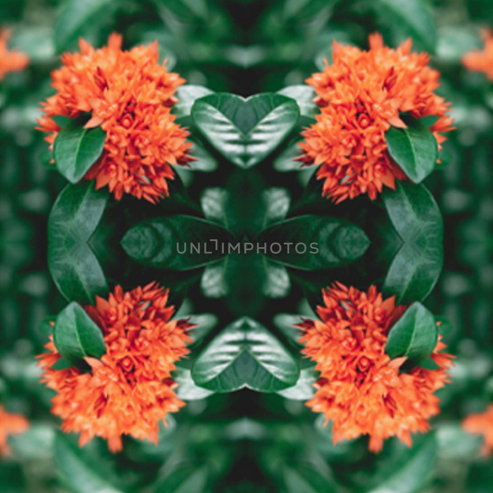Floral summer seamless pattern. Garden flowers and leaves on black background.