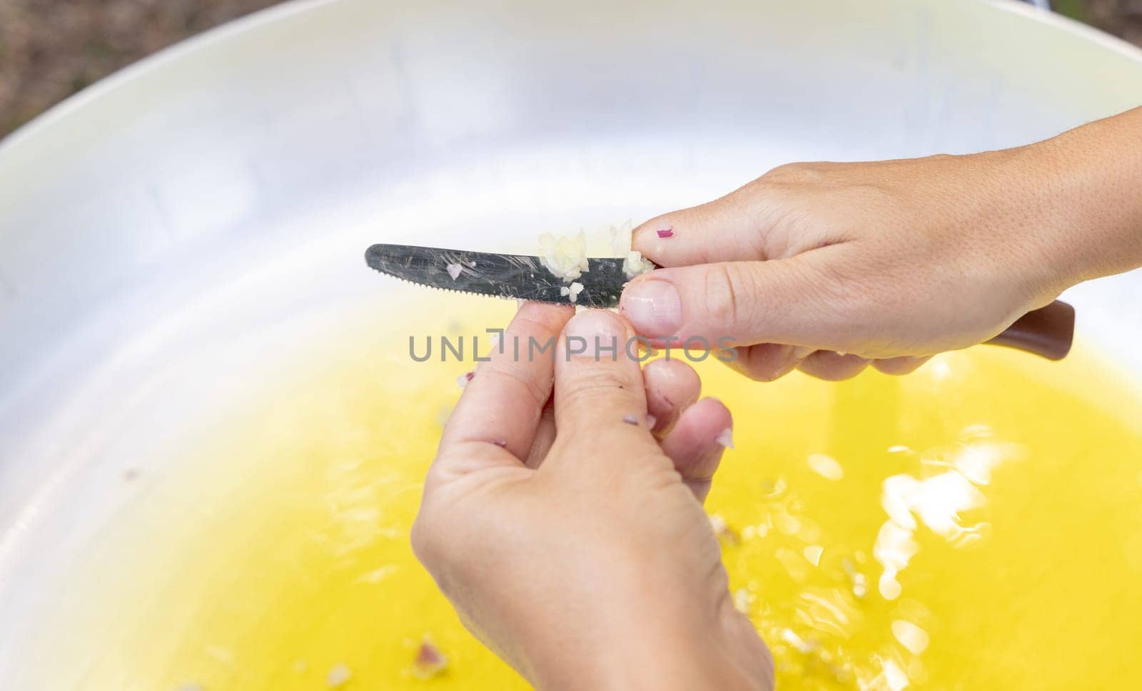 Woman hands chopping garlic clove over a big frying pan with olive oil close up, copy space. Traditional italian and apulian cousine, cooking for huge family