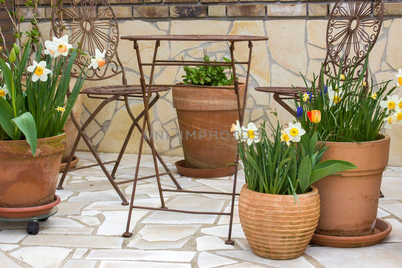 beautiful place in the garden in the mediterranean style, clay pots with spring flowers