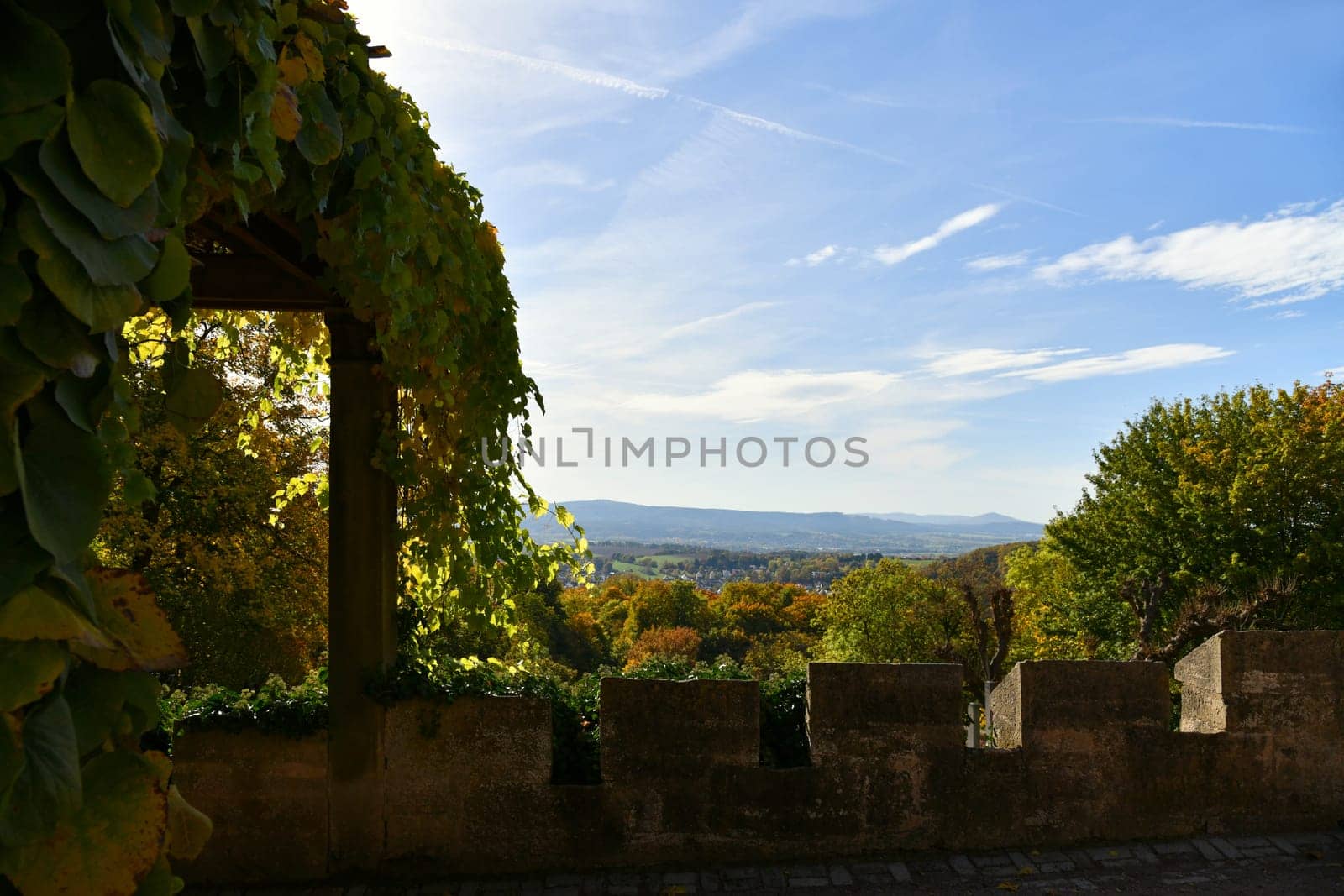 Colorful autumn foliage in the sunlight