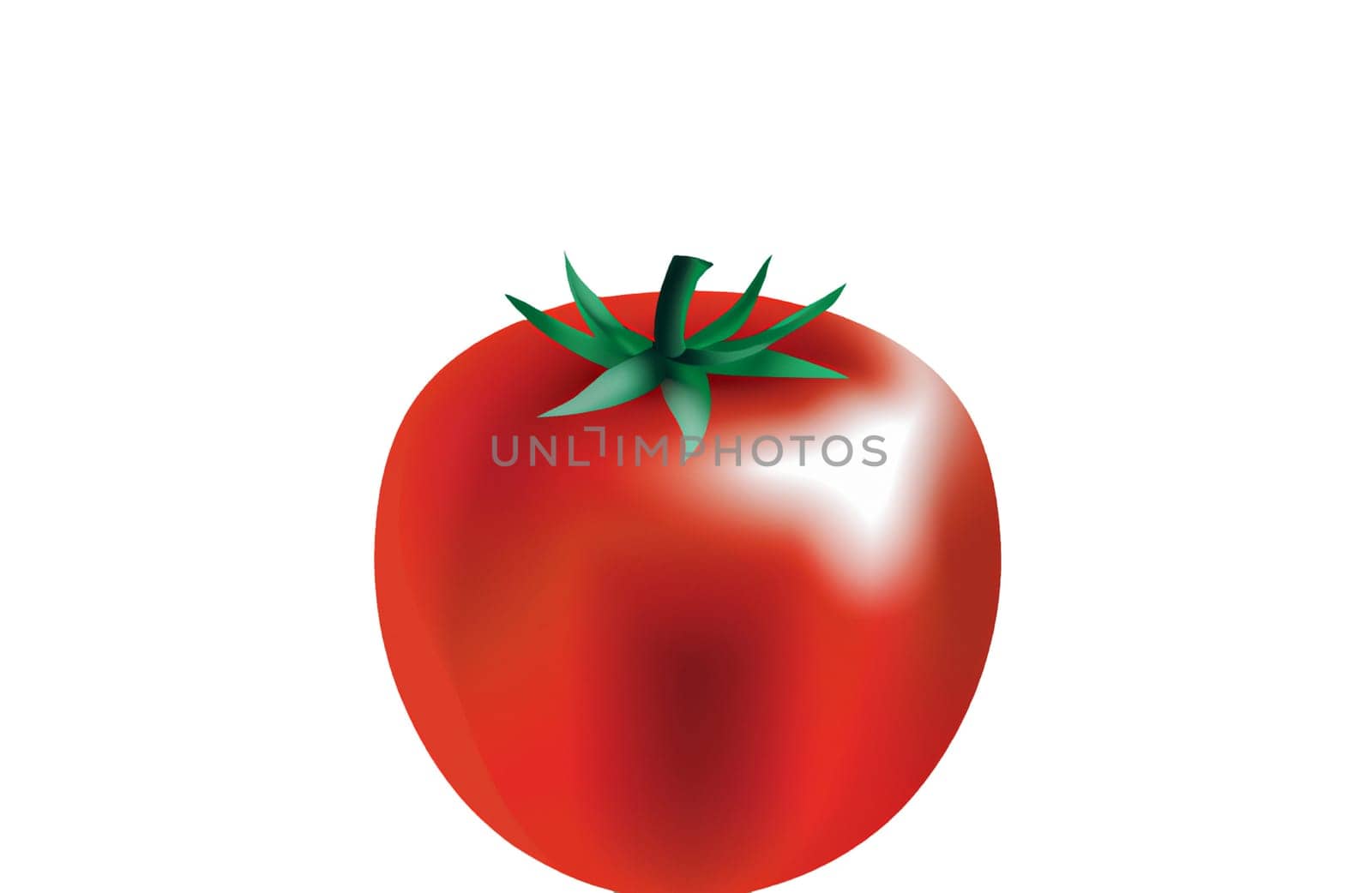 Illustration of a tomato on a white background