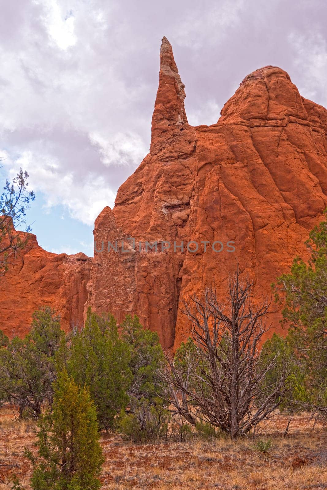 Dramatic Spires in the Desert in Kodachrome Basin State Park in Utah