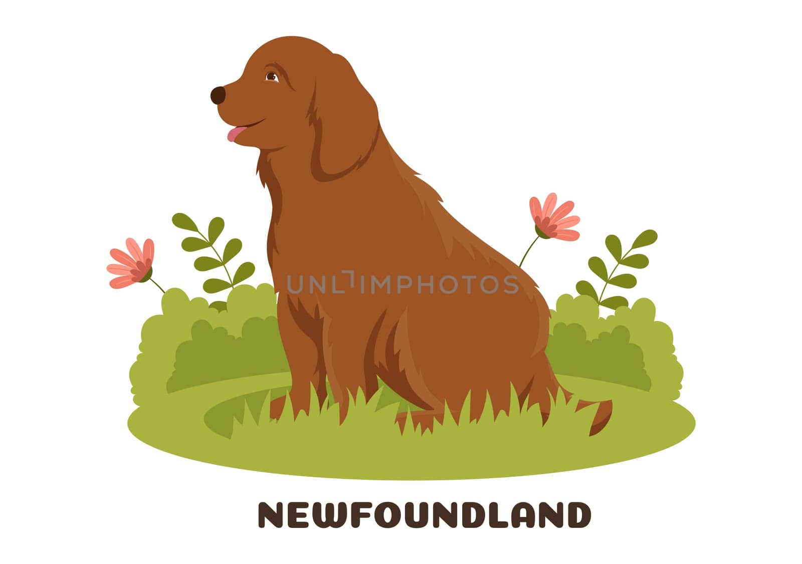 Newfoundland Dog Animals with Black, Brown or Landseer Color in Flat Style Cute Cartoon Template Hand Drawn Illustration