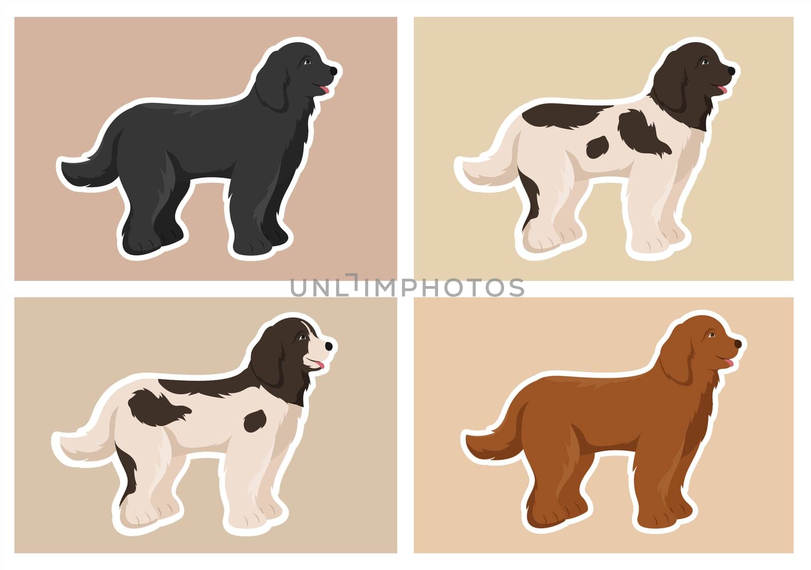 Newfoundland Dog Animals with Black, Brown or Landseer Color in Flat Style Cute Cartoon Template Hand Drawn Illustration