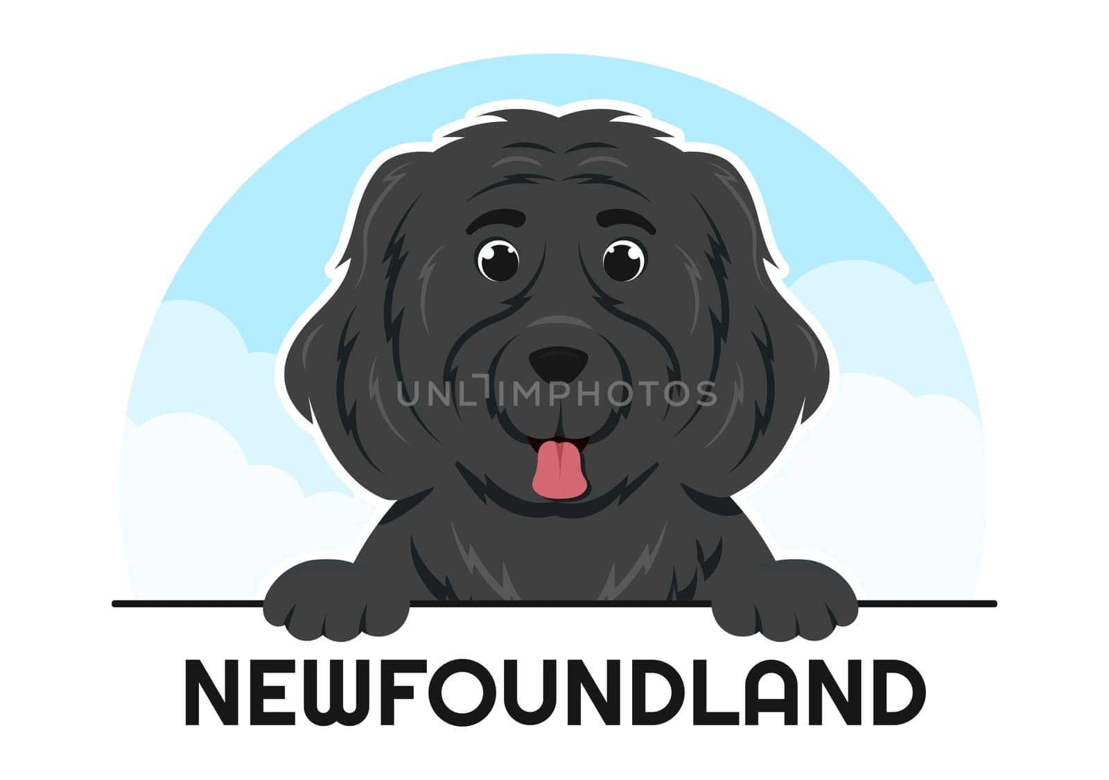 Newfoundland Dog Animals with Black, Brown or Landseer Color in Flat Style Cute Cartoon Template Hand Drawn Illustration