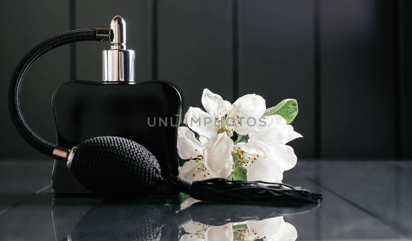Black bottle of eau de toilette or perfume with long tassel spray pomp stands on dark background on reflective surface with apple blossom. Copy space
