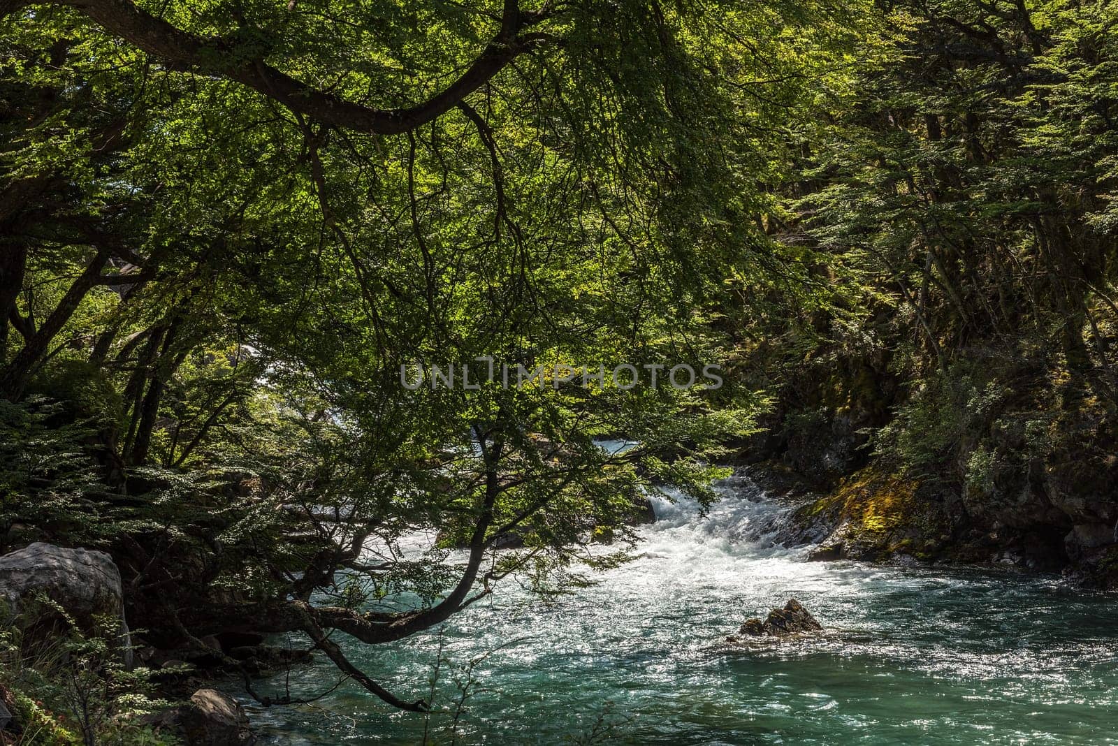 small waterfall in Los Glaciares National Park in Argentina