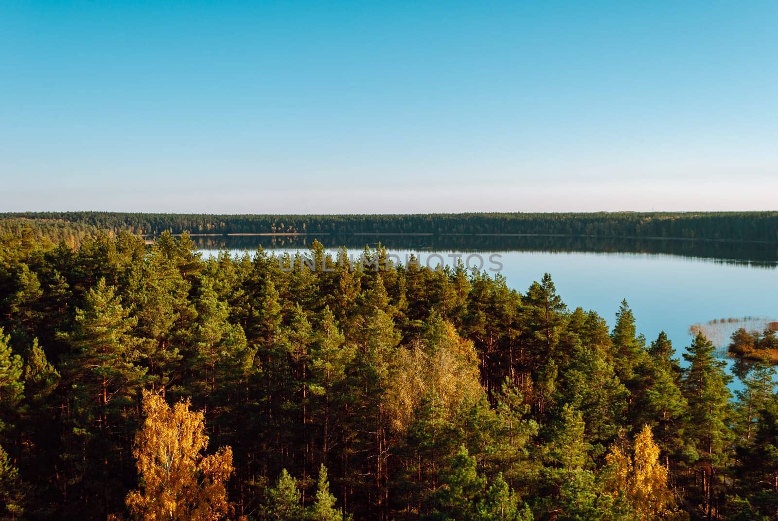 View of the coniferous treetops and Lake Baltieji Lakajai in Labanoras Regional Park, Lithuania