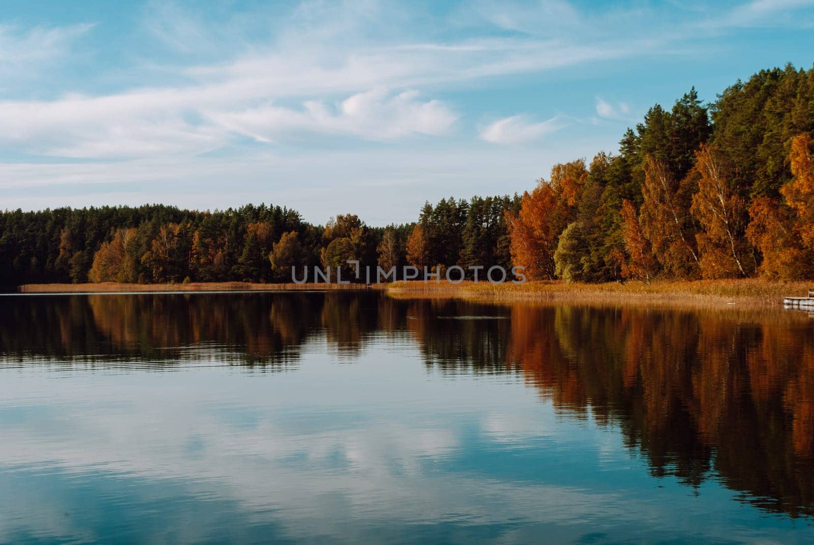 Autumn multi-colored mixed forest and sky with clouds is reflected in the surface of the water of Lake Baltieji Lakajai in Labanoras Regional Park, Lithuania.