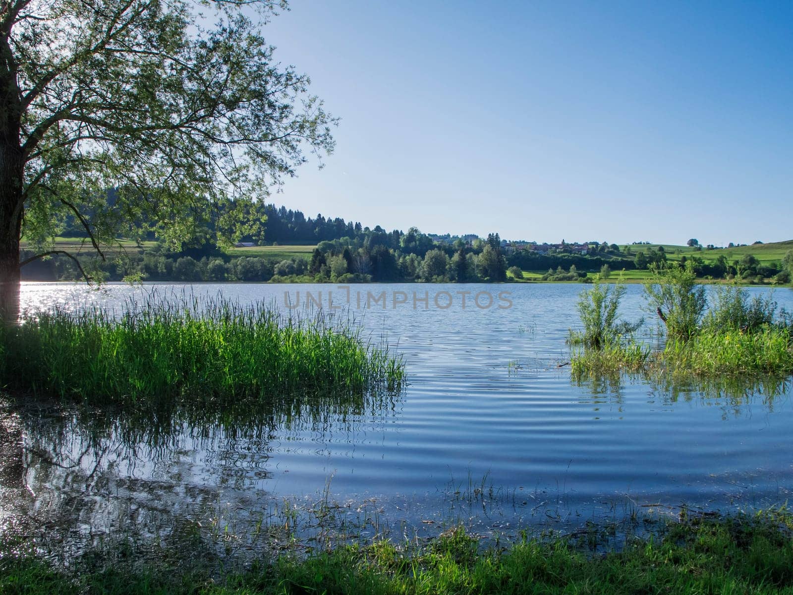 Landscape view of the Lake Gruenten with increased water level in summer with backlight.