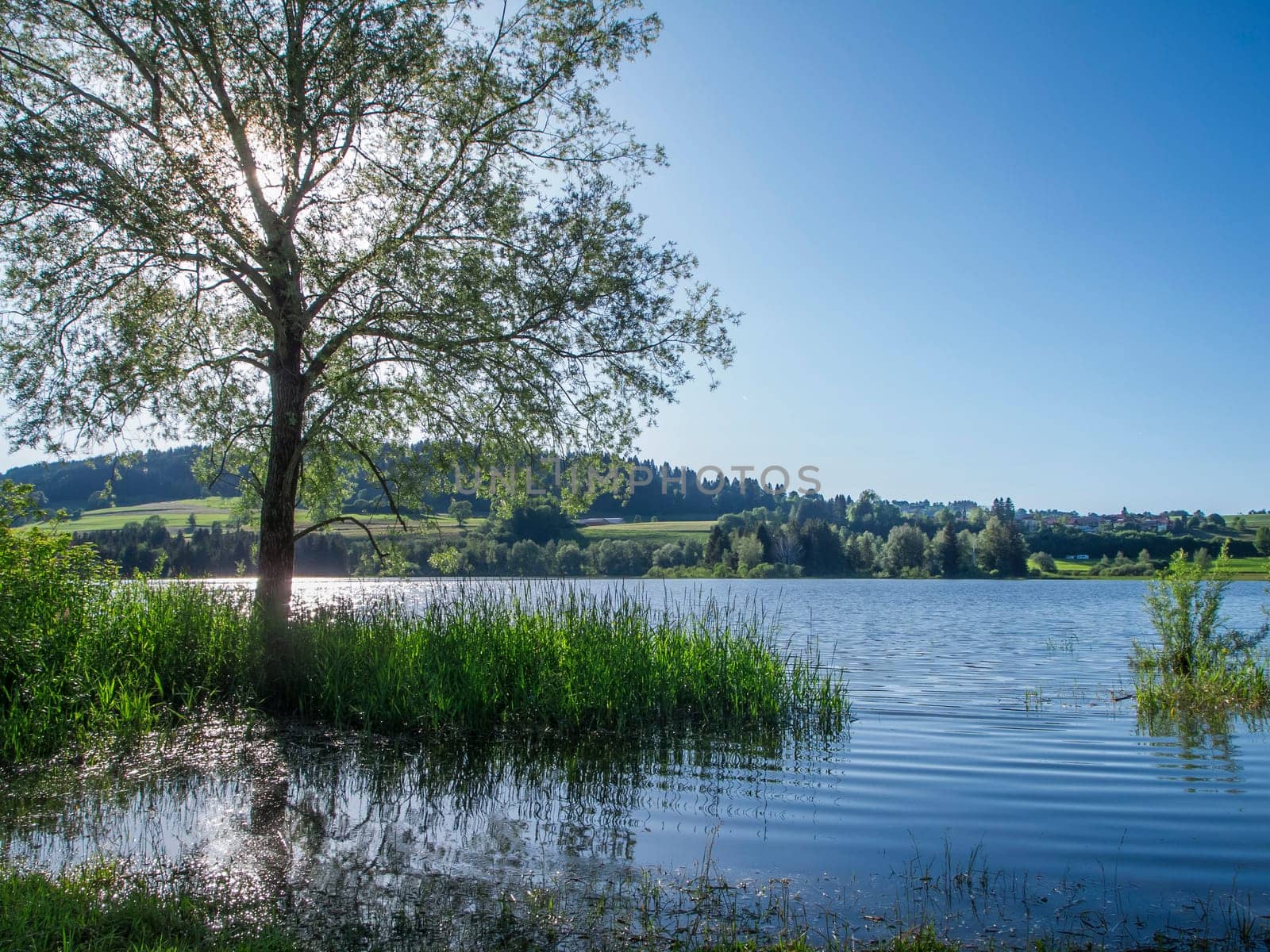 Landscape view of the Lake Gruenten with increased water level in summer with backlight.