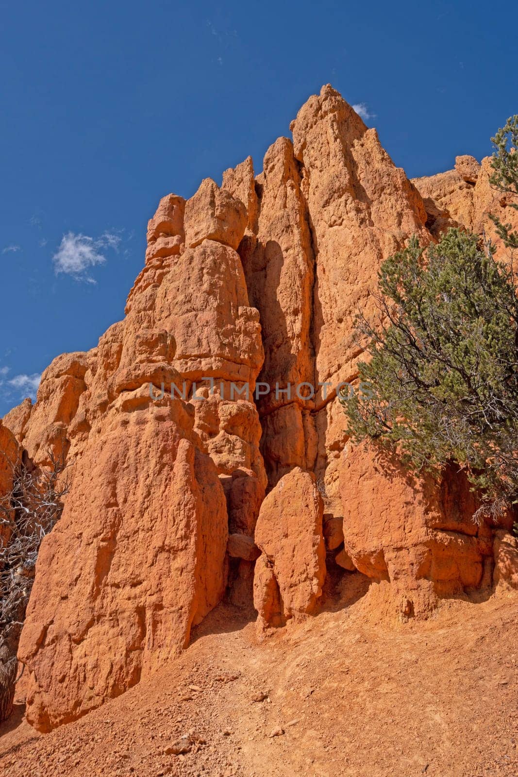 Dramatic Rocks in the Desert in the Red Canyon Wilderness in Utah