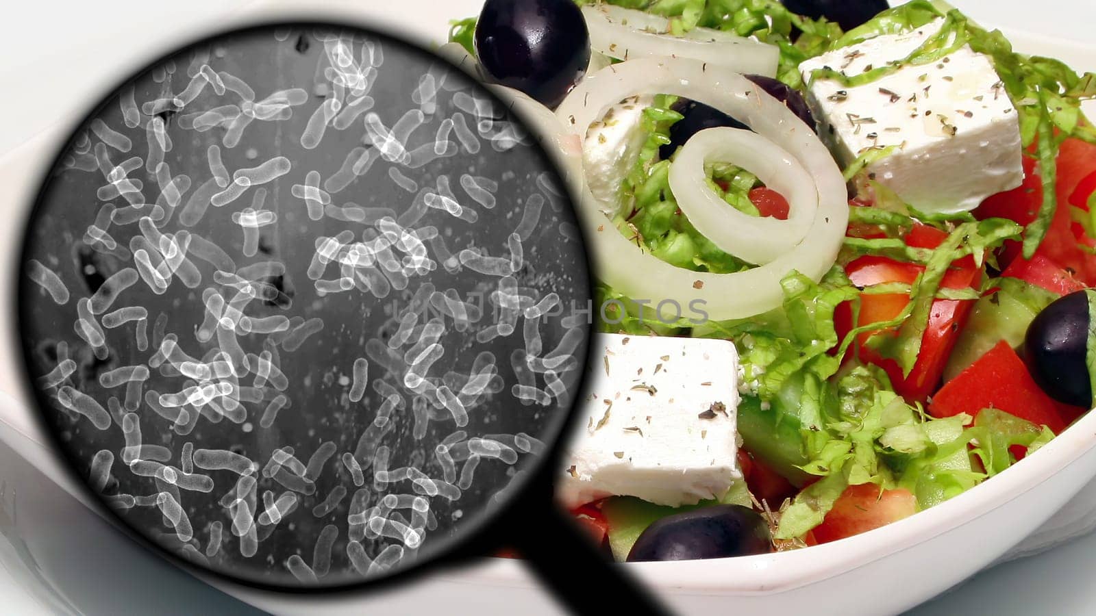 Searching for bacteria in vegetables,Searching for bacteria in vegetables