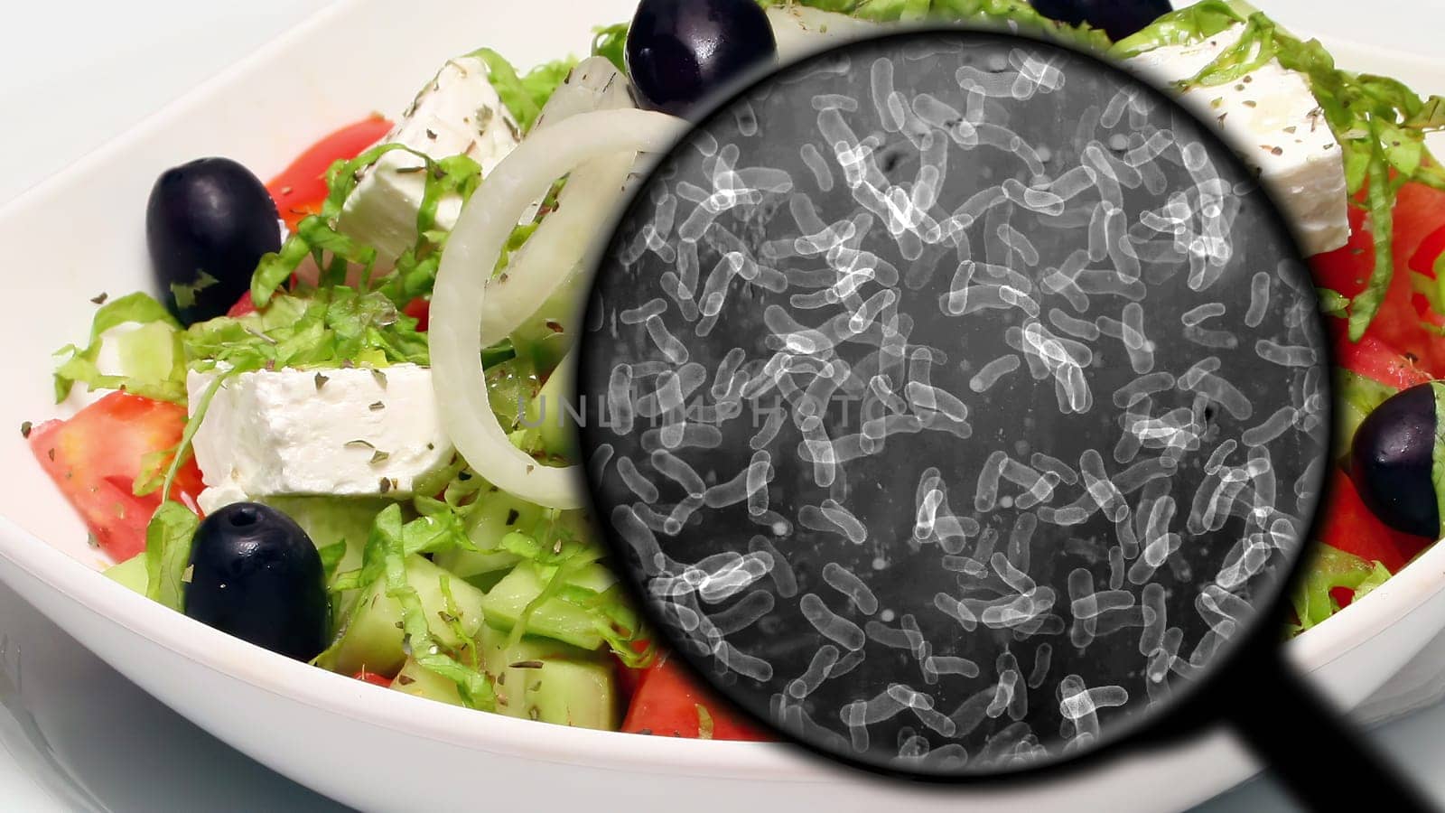 Searching for bacteria in vegetables,Searching for bacteria in vegetables