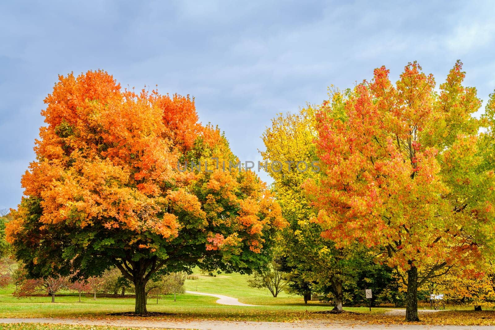 Scenic view of trees in full autumn color in Arboretum in Lexington, Kentucky